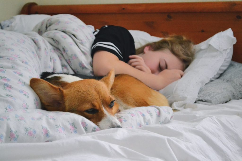 Foto: Envato Stock/Twenty20photos