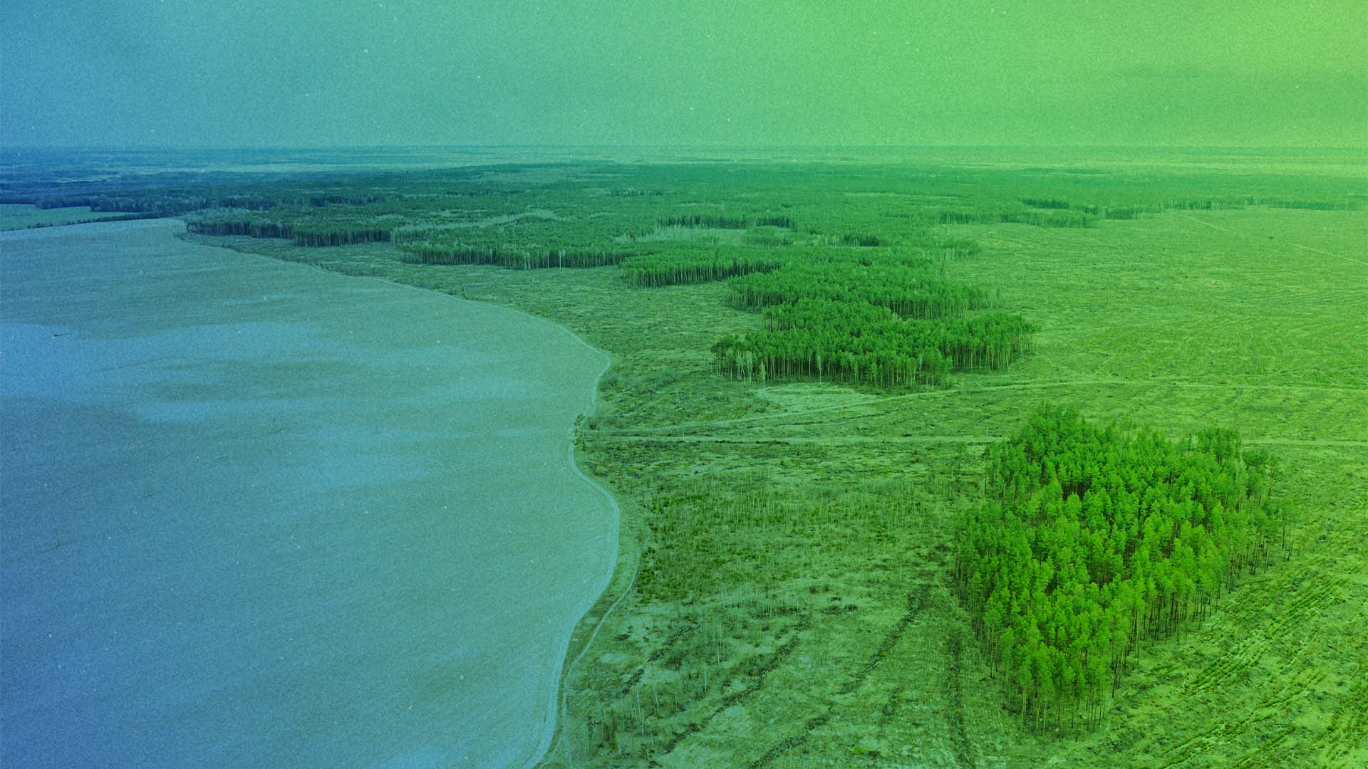 Regenwald Rodung Amazonas Brasilien Bolsonaro / Foto: Envato Stock