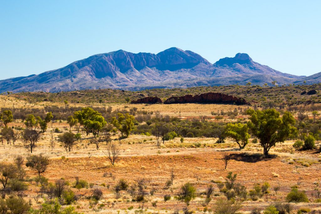 Temperaturen von über 40 Grad