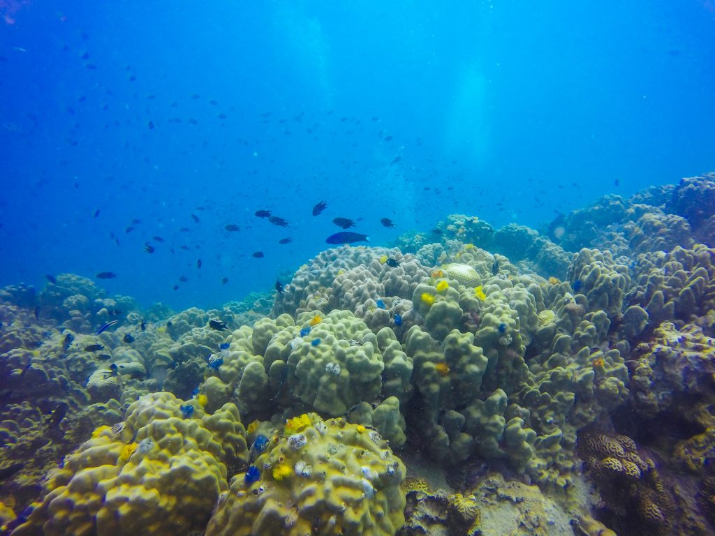 Great Barrier Reef
