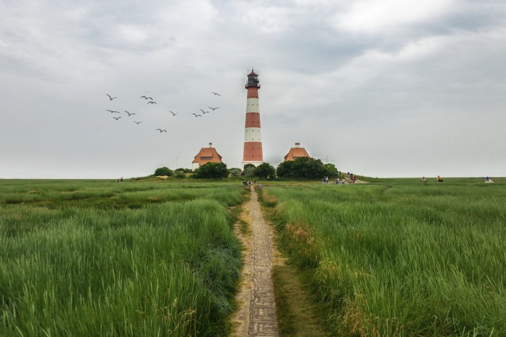Leuchtturm Klimaschutz-Unternehmen
