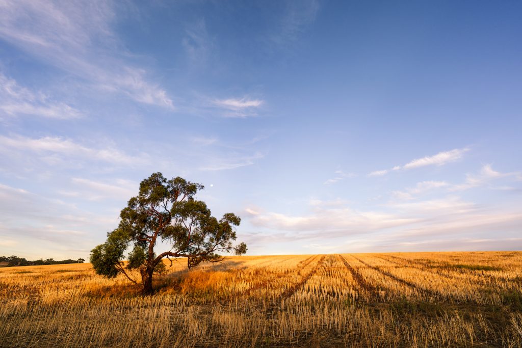Nachhaltigkeit Landwirtschaft - Greentech