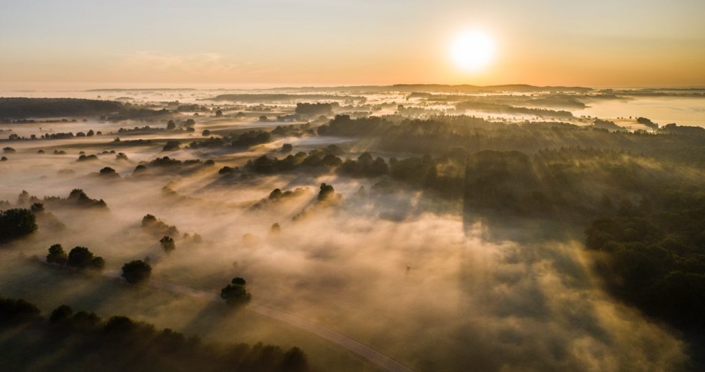 Nebel kann gegen Wasserknappheit helfen / Foto: Photo by Michael Held on Unsplash