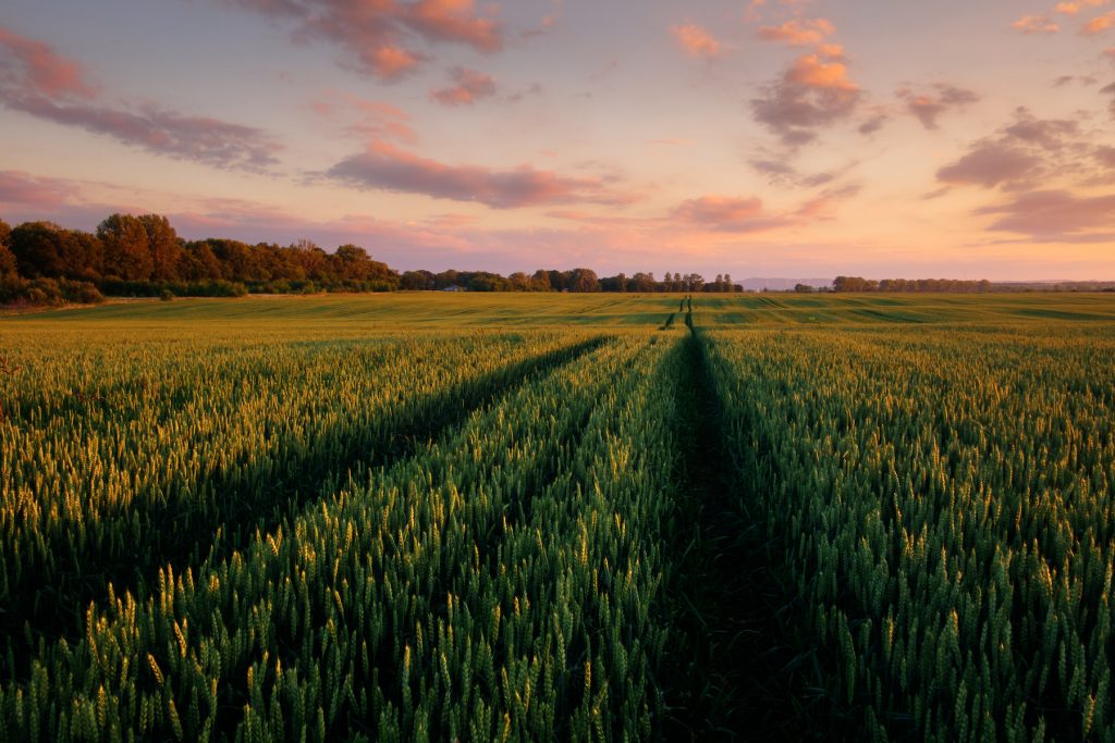Greentech und Robotik für UN-Nachhaltigkeitsziele