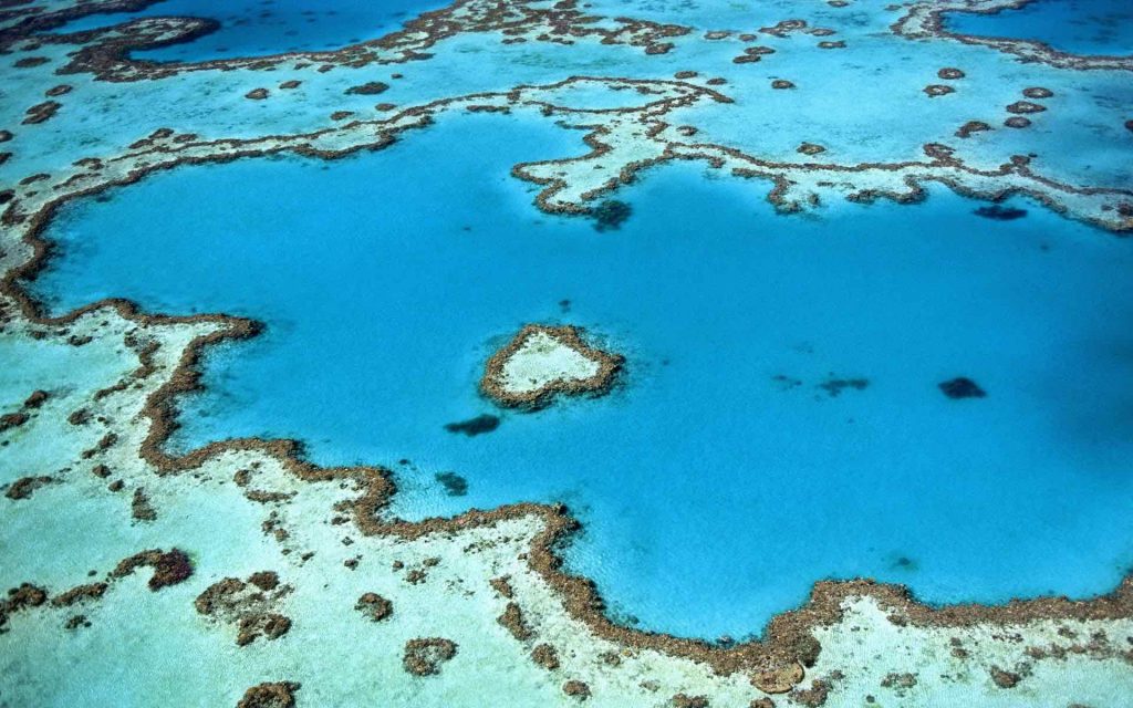 Bedrohtes Great Barrier Reef: Australien ringt mit Klimawandel - schärfere Gesetzte und Greentech sollen helfen / Foto: Yanguang Llan via Unsplash