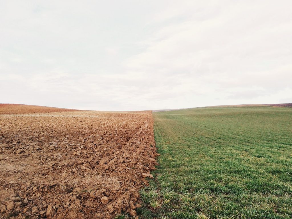 Hitze und Duerre in Deutschland - der Klimawandel muss gebremt werden / Foto: Elizabeth Lies via Unsplash