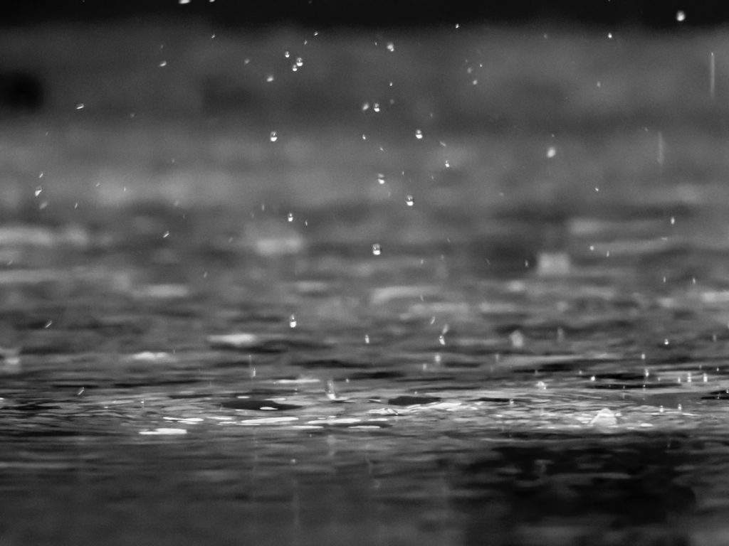 Foto: Reza Shayestehpour via Unsplash