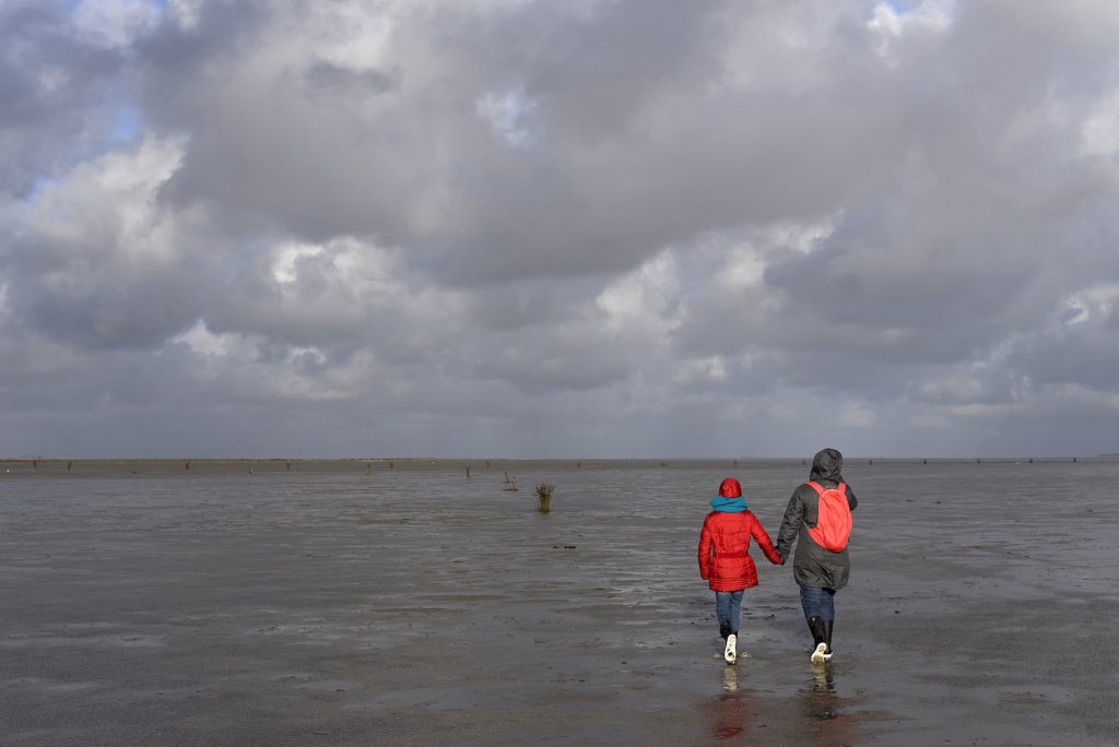 Klimaschutz auf dem Watten-Meer / Foto: Envato