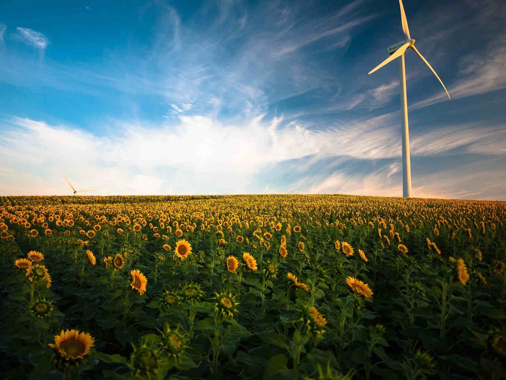 Greentech legt zu: Windenergie Klimaschutz. Foto Gustavo Quepon Unsplash
