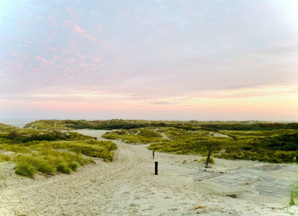 Greenpeace sorgt sich um Riff auf Borkum wegen Erdgas-Förderung Foto: Susanne Braun via Unsplash