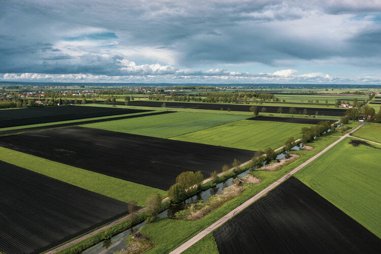 moor klimaschutz studie stiftung audi