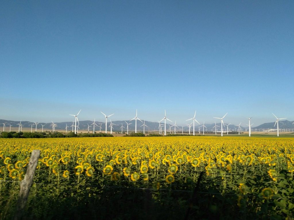 Greentech Wind-Energie Johanna Montoya via Unsplash