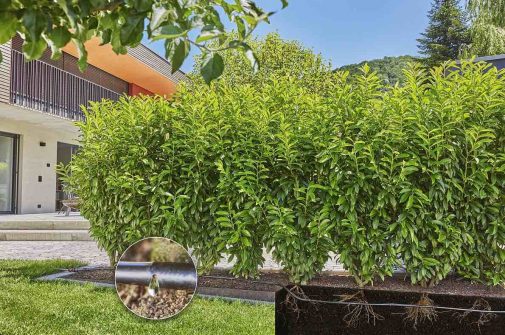 Greentech Gardena Garten Bewaesserung Wasser Rasen