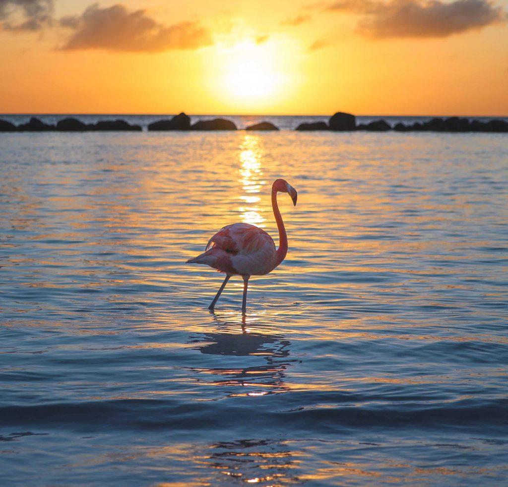 Foto von Angel Santos auf Unsplash