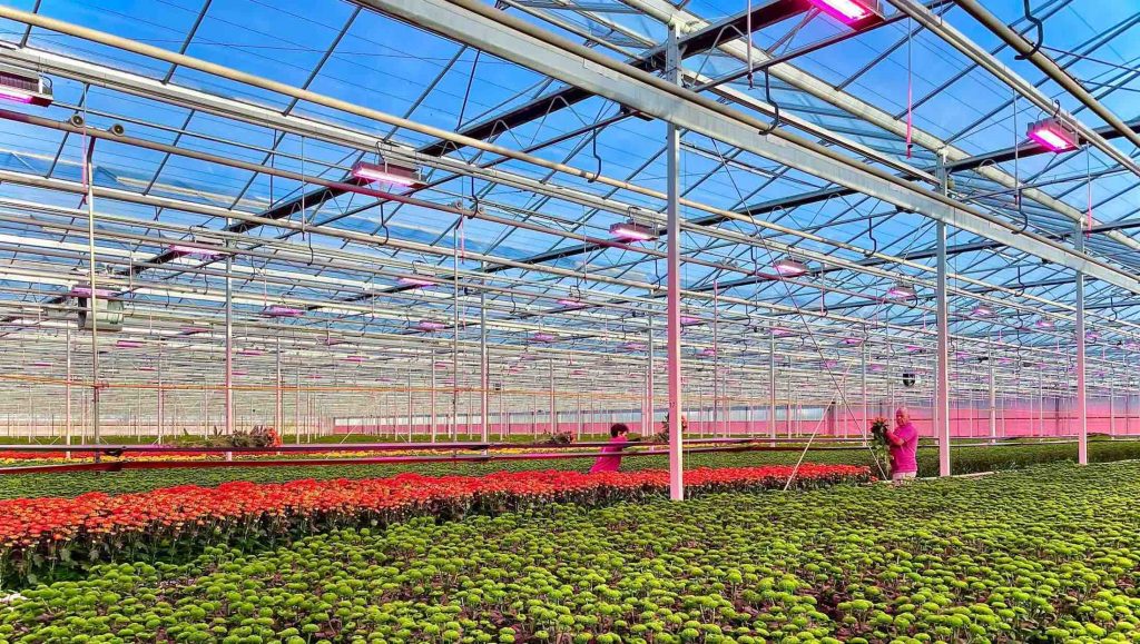 Greentech Business Horticuture RED nachhaltige Landwirtschaft Kopie