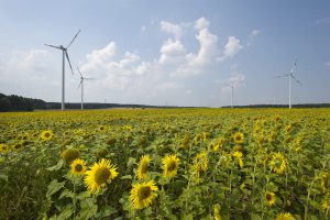 Greenpeace Energy eG Windpark Buchhain 26.07.2012 © Marc-Oliver Schulz