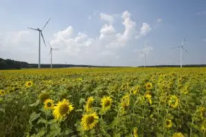 Greenpeace Energy eG Windpark Buchhain 26.07.2012 © Marc-Oliver Schulz