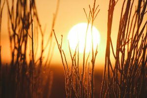 Greentech Energie Sonne Solar Jeremy Bishopp Unsplash