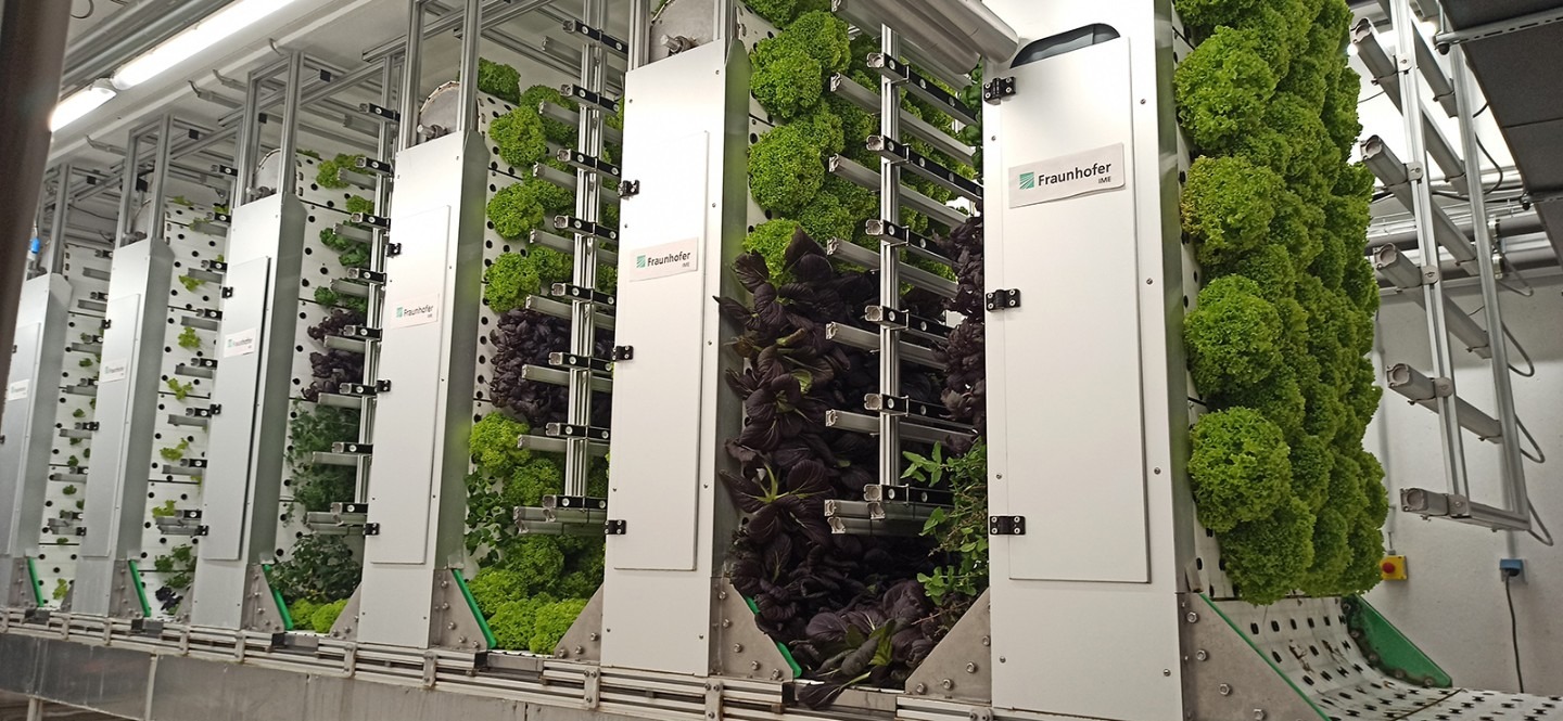 Greentech Science IME-ivv-future-proteins-bild-1