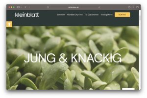 Greentech-Index-Kleinblatt