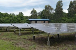 Greentech Africa Kenia Foto David Ouma Unsplash