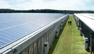 Greentech: Photovoltaik legt zu – Wind-Energie weiter im Hintertreffen