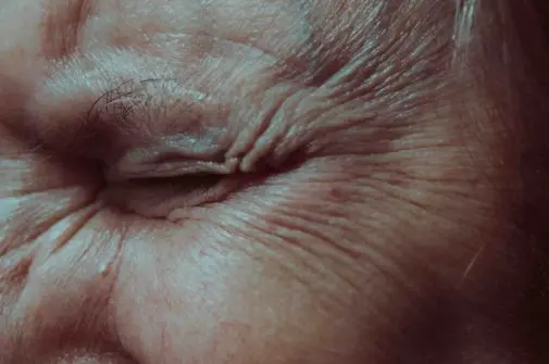 Greentech Science LIVE Haut Science Anita-Jankovic Unsplash s